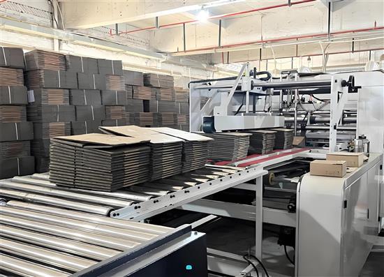 造紙及紙制品多重元素催化瓦楞紙箱市場